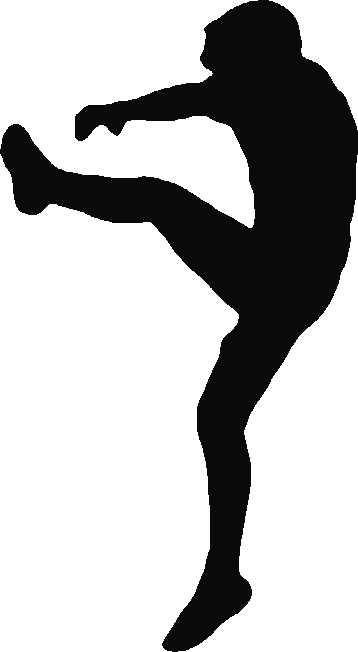 Silhouette of Jordan Cartwright mid-punt